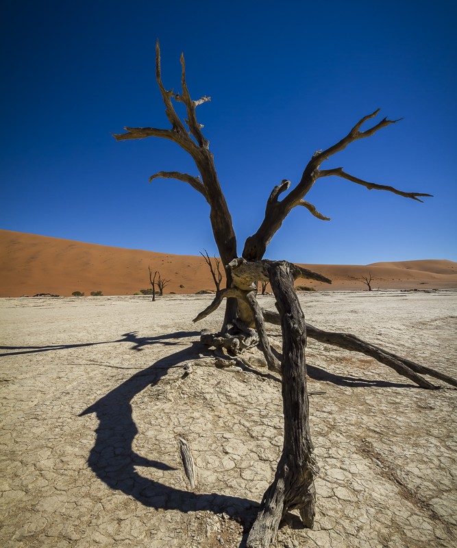 Discovering Namibia, Miguel Moreira