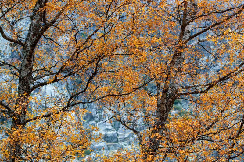O Outono na Estrela, Covão d’Ametade, Miguel Serra