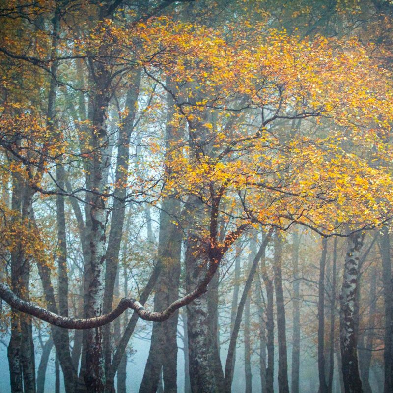 O Outono na Estrela, Covão d’Ametade, Miguel Serra
